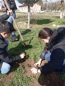 Topluma Hizmet Uygulamaları Dersi Kapsamında Fidan Dikme Etkinliği Gerçekleştirildi